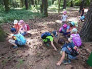 Celodenní výlet na Zámek Loučeň